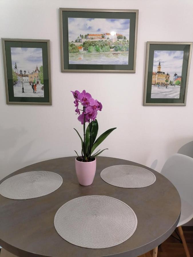 Carmen Deluxe Appartement Novi Sad Buitenkant foto